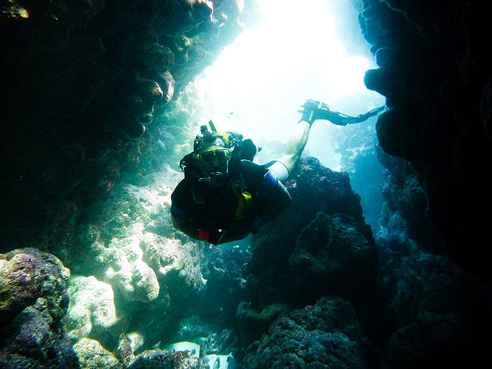 Diving Excusions from Punta Cana Dominican Republic